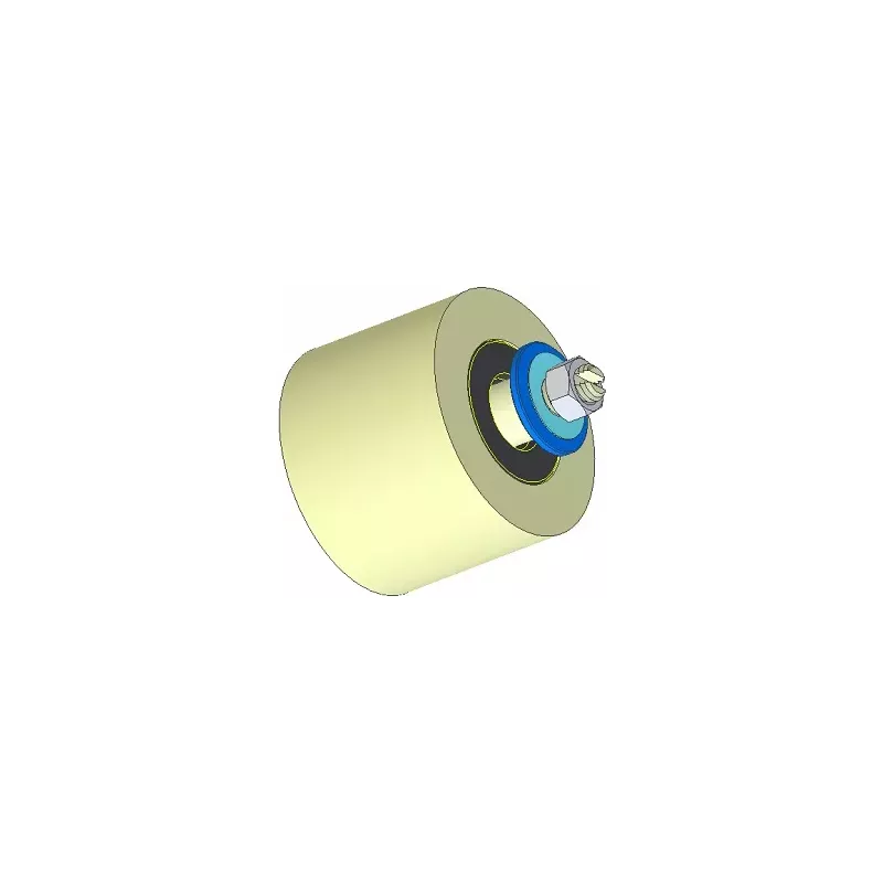 Rodillo n.º 293 – rodillo de apoyo de plástico Ø80 mm para máquinas Dewulf | OEM Dewulf 2660226 | fabricante KiJ