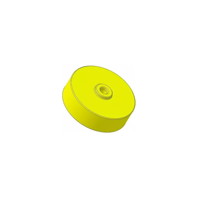 Rodillo n.º 317 – rodillo de plástico Ø100 mm para máquinas Guaresi | OEM Guaresi P7755190000 | fabricante KiJ