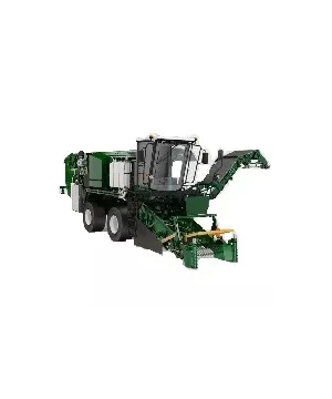 Sandei